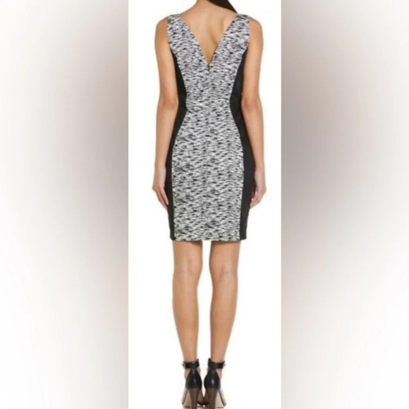 FRENCH CONNECTION  SAHARA WAVE ZEBRA DRESS SZ 6 - Picture 4 of 14